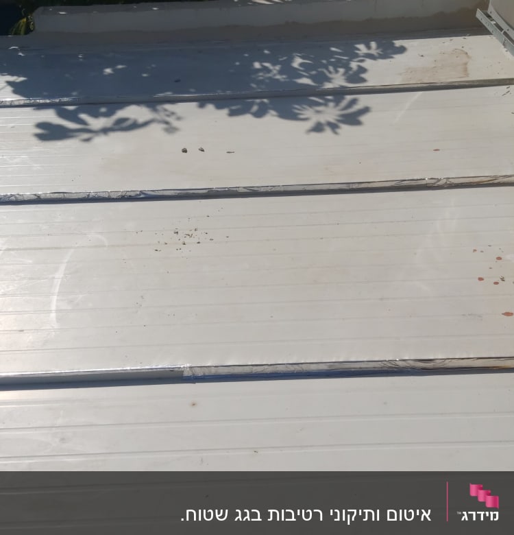 גג מתכת לבן עם צללים של עלים